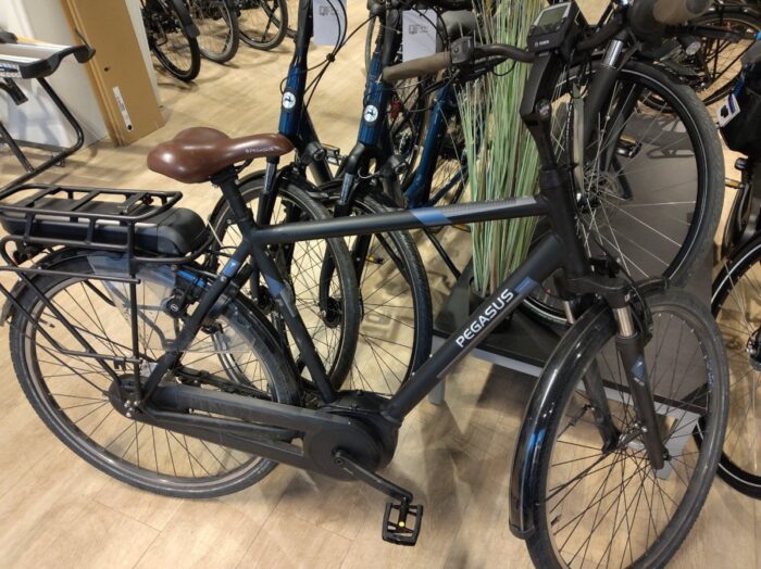 Pegasus Siena E7F Heren