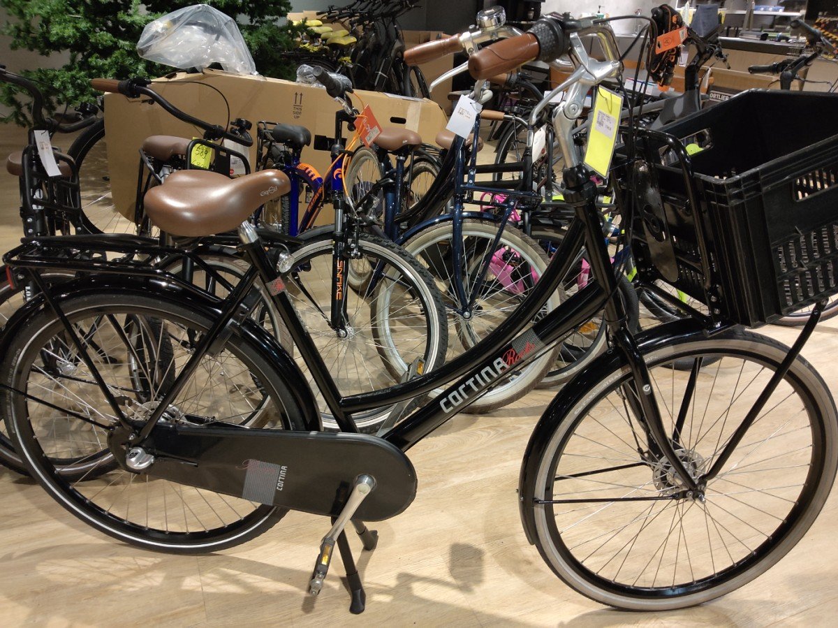 Cortina Roots Transport Dames