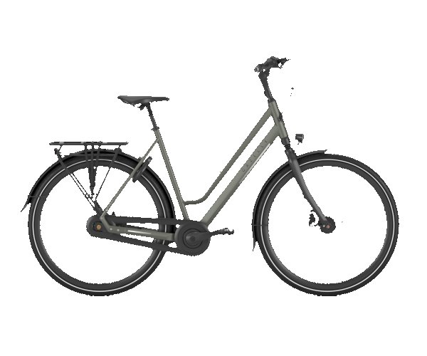 Gazelle Chamonix C8 Dames 2025